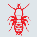 Screenshot 2025-01-23 172342