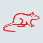 Screenshot 2025-01-23 172354